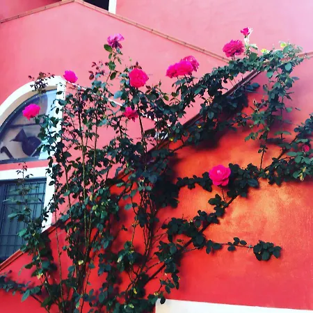 Feriehus Domus Carolina *