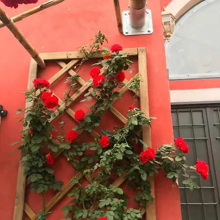 Domus Carolina Nyaraló *